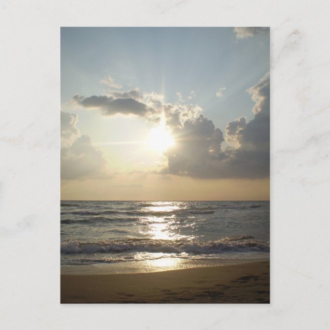 Carte Postale La plage de Paestum (Devant)