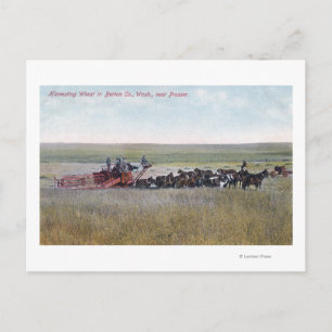 Carte Postale La récolte du blé