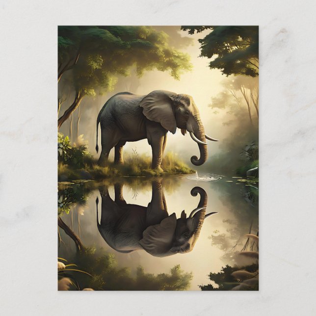 Carte Postale La réflexion d'un éléphant (Devant)