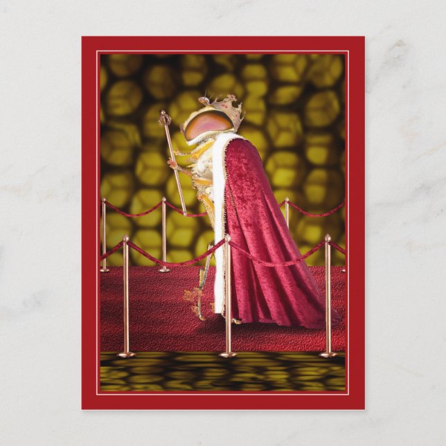 Carte Postale La reine abeille (Devant)