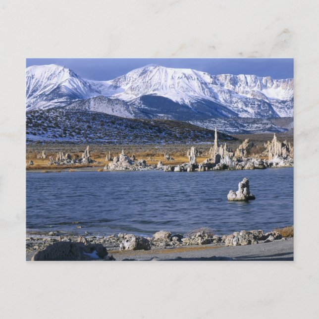 CARTE POSTALE LA RÉSERVE NATURELLE DE MONO LAKE TUFA, (Devant)