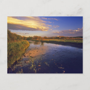 Carte Postale La rivière Big Hole à la dernière lumière près de 