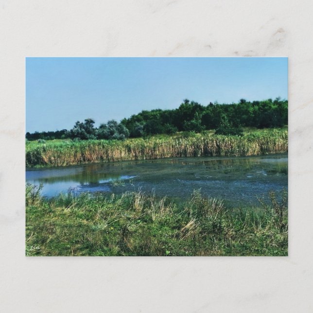 Carte Postale La rivière Molochnaya près de Melitopol. Ukraine d (Devant)