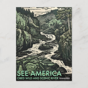 Carte Postale La rivière Obed Wild et Pittoresque dans le Tennes