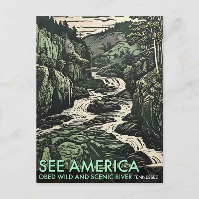 Carte Postale La rivière Obed Wild et Pittoresque dans le Tennes (Devant)