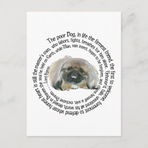 Carte Postale La Sagesse de Pekingese - et la complainte de Lord