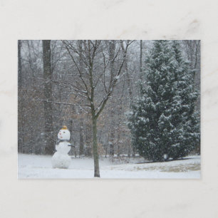 Carte Postale La scène de neige hivernale du voisin