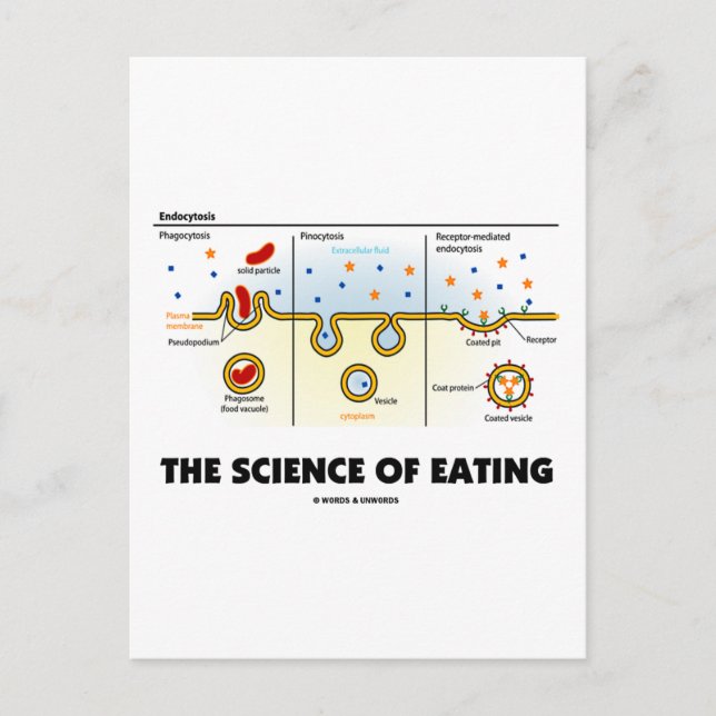 Carte Postale La science de l'alimentation (Humour de biologie d (Devant)
