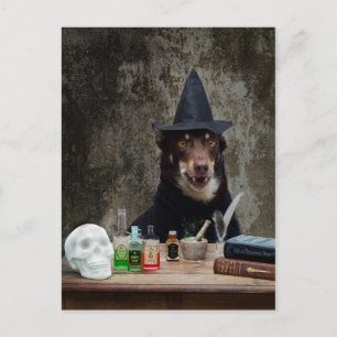 Carte Postale La sorcière