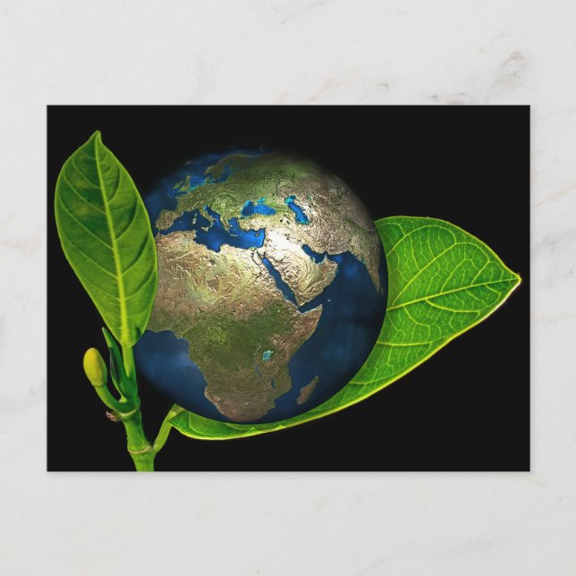 CARTE POSTALE LA TERRE EST NÉE (Devant)