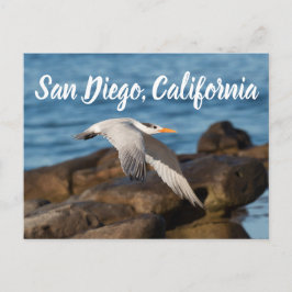 Carte Postale La Terre vole San Diego, Californie