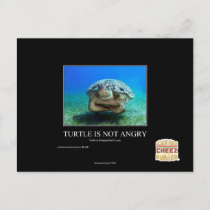 Carte Postale La tortue n'est pas en colère