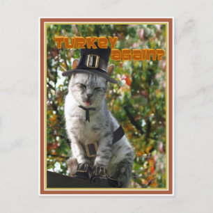Carte Postale LA TURQUIE À NOUVEAU ? Chat de pèlerin