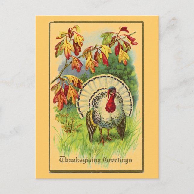 Carte Postale La Turquie blanche vintage (Devant)