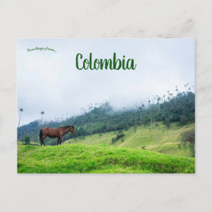 Carte Postale La vallée de la Cocora en Colombie