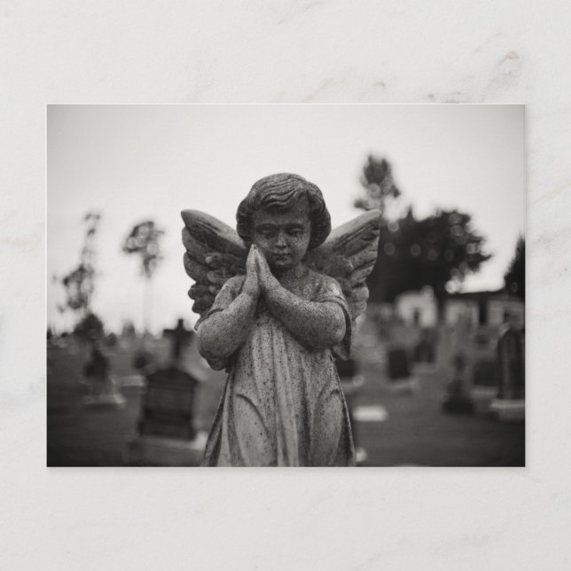 Carte Postale La vie après la mort (Devant)