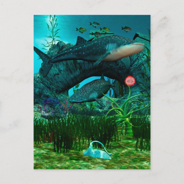 Carte Postale La Vie Aquatique de l'Appel 3D (Devant)