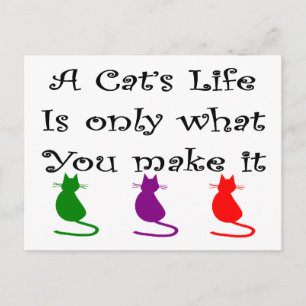 Carte Postale La vie d'un chat n'est que ce que vous faites...