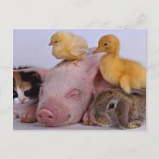 CARTE POSTALE LA VIE EST BONNE