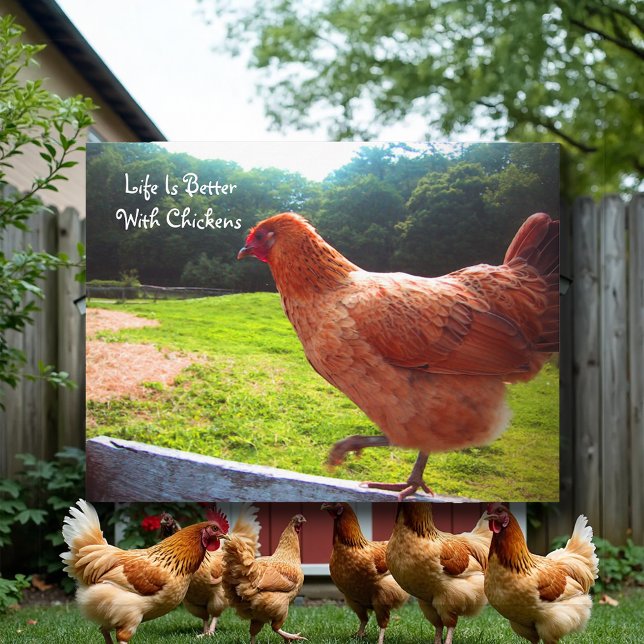 Carte Postale La Vie Est Meilleure Avec Les Poulets (Créateur téléchargé)