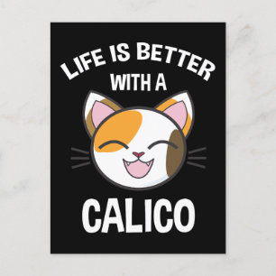 Carte Postale La Vie Est Meilleure Avec Un Calico
