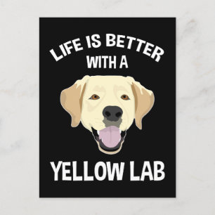 Carte Postale La Vie Est Meilleure Avec Un Laboratoire Jaune