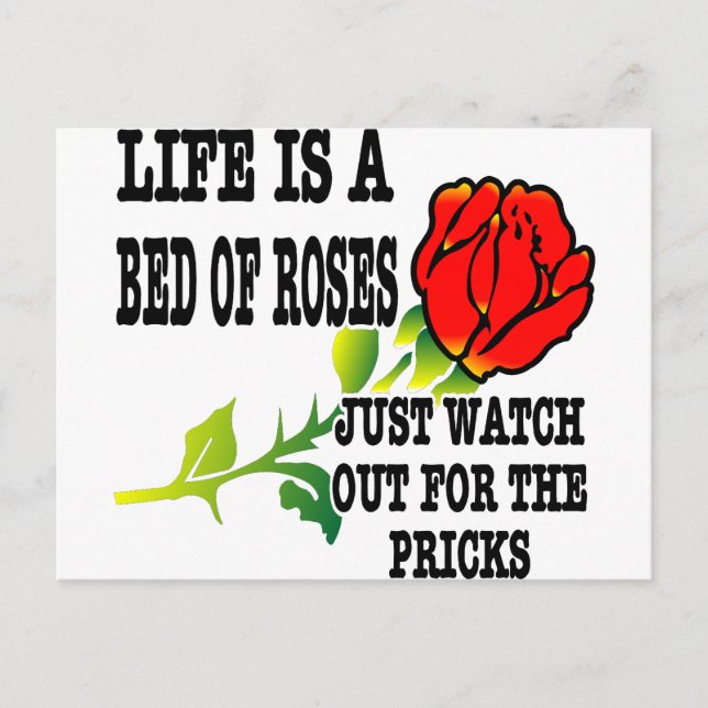 Carte Postale La Vie Est Un Lit De Roses Attention Aux Piquants (Devant)
