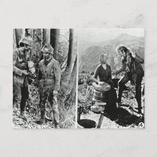 Carte Postale La vie et les temps de Daniel Boone Vintage verre 