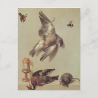 La vie morte des oiseaux morts et une souris, 1712