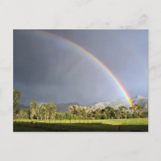 Carte Postale La vie sur le ranch Blackman (Devant)