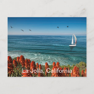 Carte Postale La voile à La Jolla