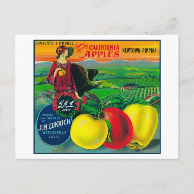 Carte Postale Label Apple Crate de J.M.L. Watsonville, CA (Devant)