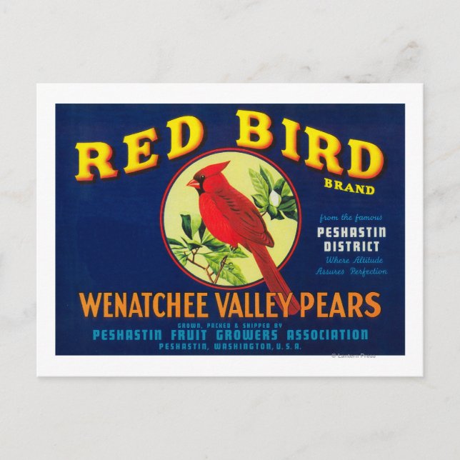 Carte Postale Label Red Bird Pear Crate, WA (Devant)