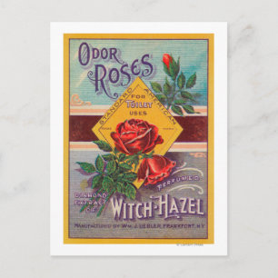 Carte Postale Label Rose de sorcière-HazelFrankfort, NY