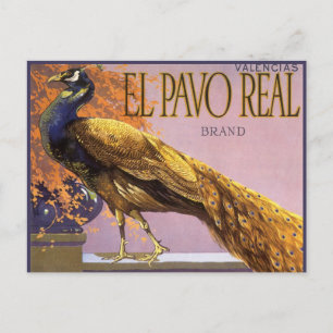 Carte Postale Label Stock Crate Art El Pavo Peacock Bird