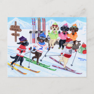 Carte Postale Laboratoires de ski nordique Peinture