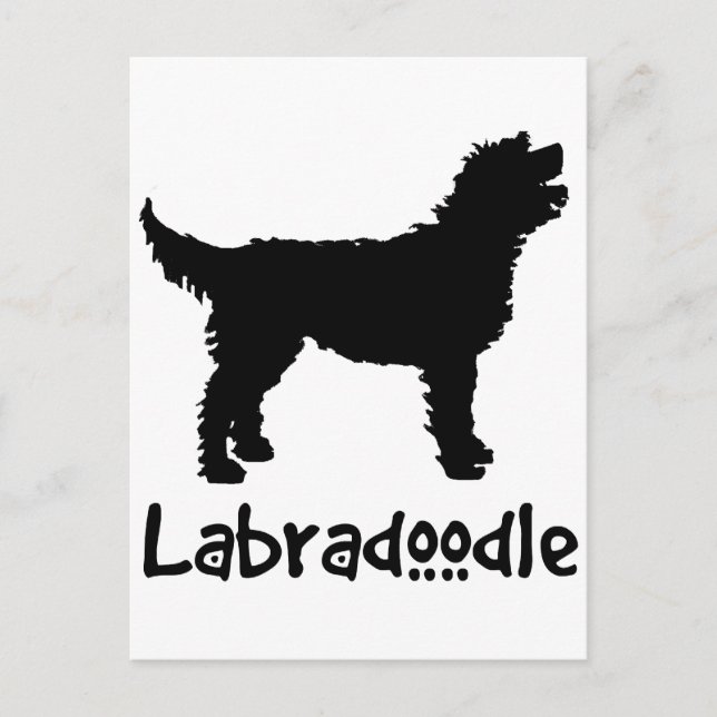 Carte Postale Labradoodle avec texte Cool (Devant)