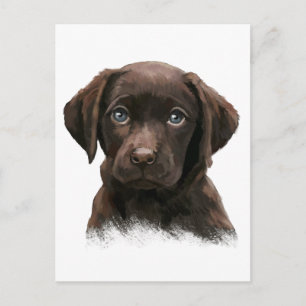 Carte Postale Labrador chocolat
