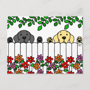 Carte Postale Labrador Duo vous regarde