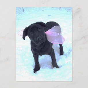 Carte postale Labrador Fairy Neige