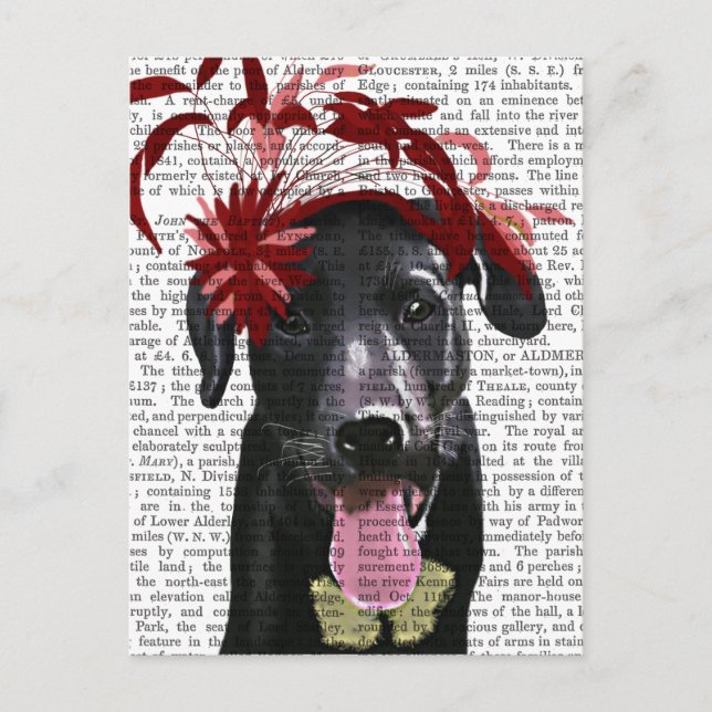 Carte Postale Labrador Noir Avec Fascinateur Rouge (Devant)