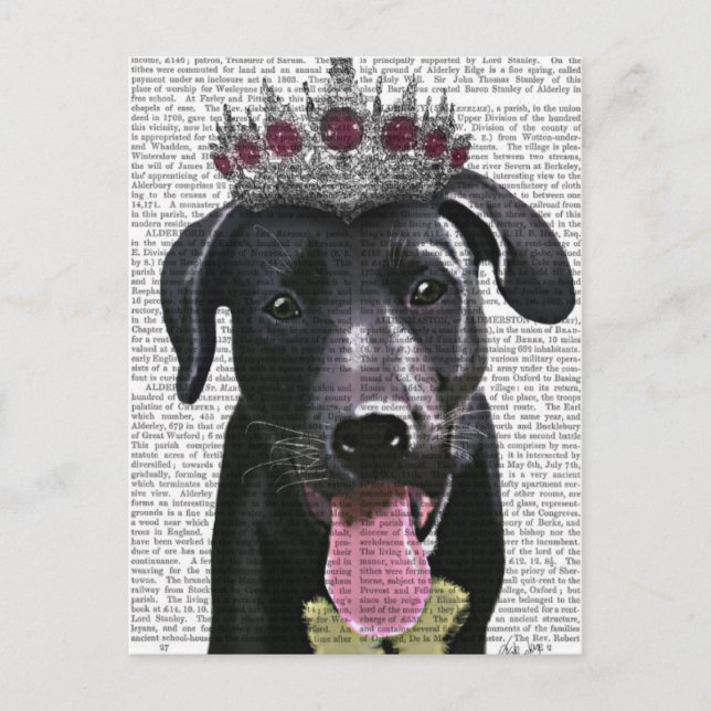 Carte Postale Labrador Noir Avec Tiara (Devant)