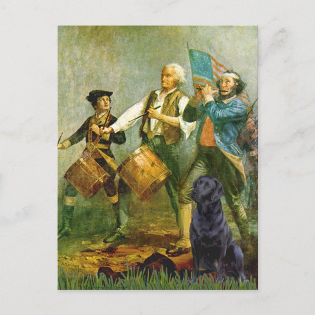 Carte Postale Labrador (noir) - Spirit of ' 76 (Devant)