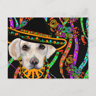 Carte Postale Labrador Retriever