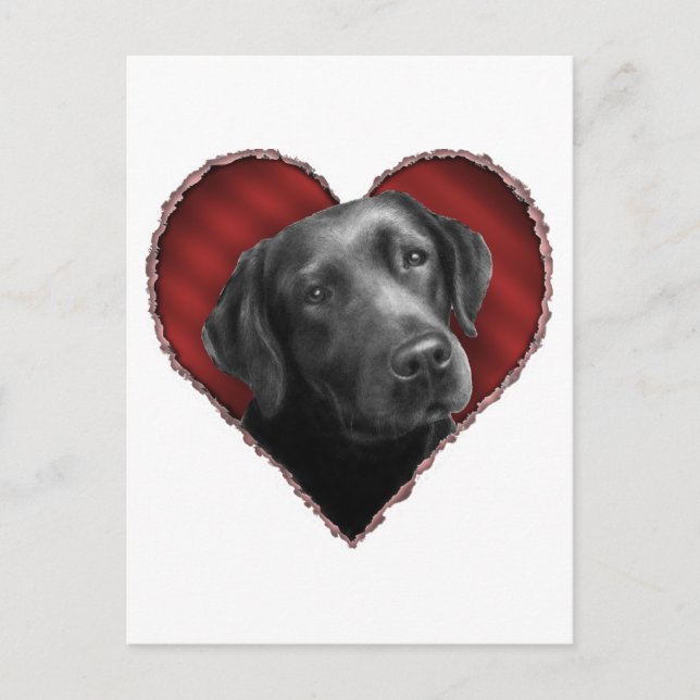 Carte Postale Labrador Retriever avec coeur (Devant)