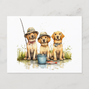 Carte Postale Labrador Retriever Dogs Fishing