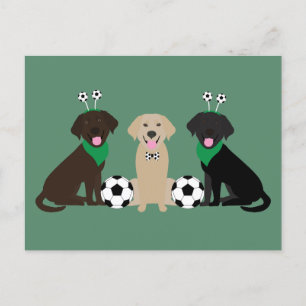 Carte Postale Labrador Retriever Dogs Jouer Au Football