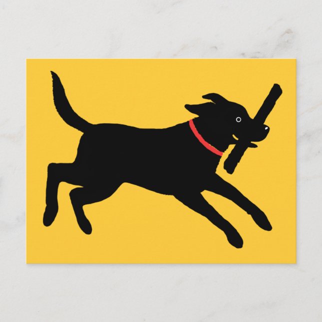 Carte Postale Labrador Retriever (Noir) (Devant)