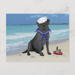 Carte Postale Labrador Retriever Noir Marin