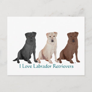 Carte Postale Labrador Retriever Noir Marin - Personnalisé